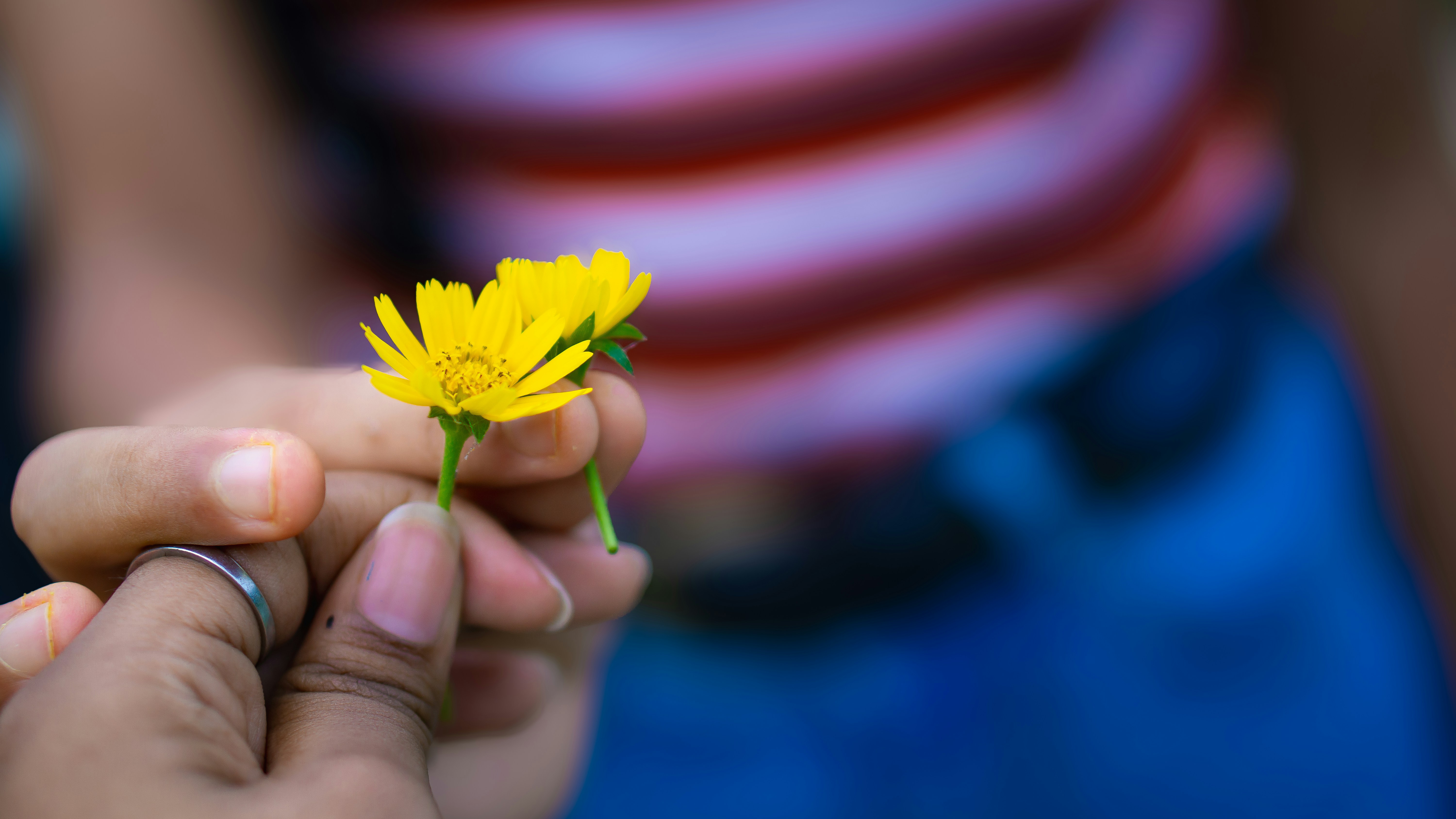 Measuring Impact Effectively